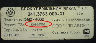 mikas7.jpg