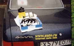 255.jpg