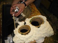 IMG_0016.jpg
