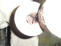 P23-01-13_09.58.jpg