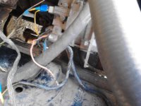IMG_20170413_171912[1].jpg