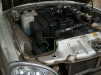 SL270068.JPG