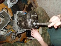 SL746385.JPG SL746385.JPG