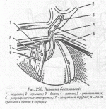 хелп.GIF