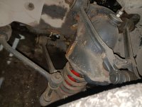 IMG_20241010_183758.jpg