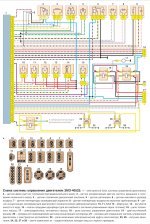 pQAAAgGQ8OA-960.jpg