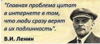 341556_original.jpg