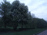 DSC06692.JPG