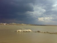 03052009115.jpg