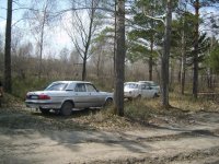 S8000011.jpg