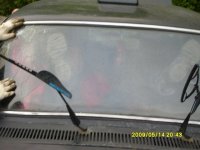 S7006617.JPG
