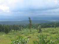 IMG_0213.JPG