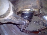 IMG0070A.jpg