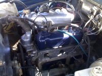 05042009940.jpg