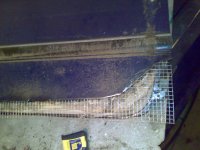 04072009207.jpg