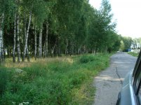 DSC07617.jpg