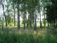 DSC07618.jpg