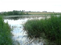 DSC07646.jpg