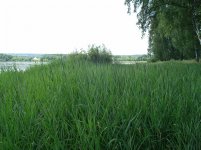 DSC07647.jpg