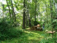 DSC07684.jpg