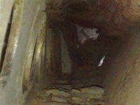 20072009377.jpg