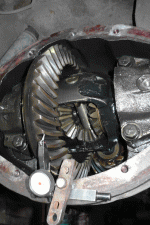 P1020661.gif