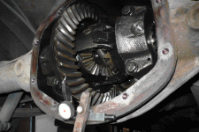 P1020672.gif