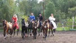 IMG_9201.jpg