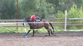 IMG_9273.jpg