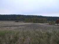 DSCF2842.jpg