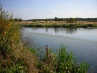DSCN3556.JPG