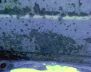 DSC00052.gif