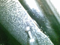 19102009_003.jpg