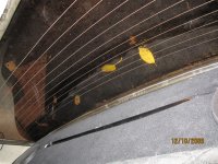 IMG_20832.jpg