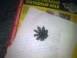 Изображение 009.jpg