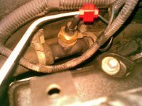 28102009_004.jpg