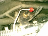 28102009_002.jpg