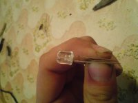 DSC00272.jpg