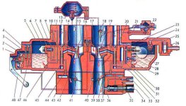 9264595.jpg