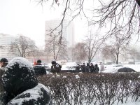 100_0890[2].jpg