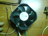 DSC00342.JPG