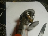 IMG0157A.jpg