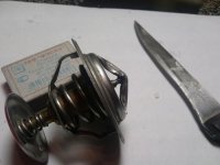 IMG0159A.jpg