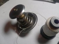 IMG0160A.jpg