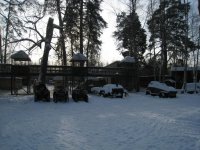 IMG_0985.jpg