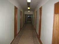 39318156.jpg