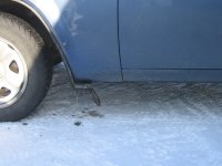 IMG_1415.jpg