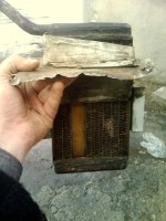 IMG0407A.jpg