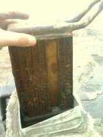 IMG0411A.jpg
