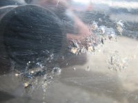 IMG_0846.jpg
